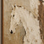 Beige and Cream Hand-Painted Oil Painting, White Horse and Brown-Clad Rider #1YZD0V5I