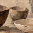 Beige Brown Hand-Painted Still Life Painting, Three Bowls #9FH3Y65K