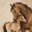 Brown Cream Hand-Painted Horse Painting, Horse and Foal #367ZZN97